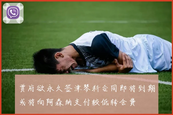 贾府欲永久签津琴科合同即将到期或将向阿森纳支付较低转会费