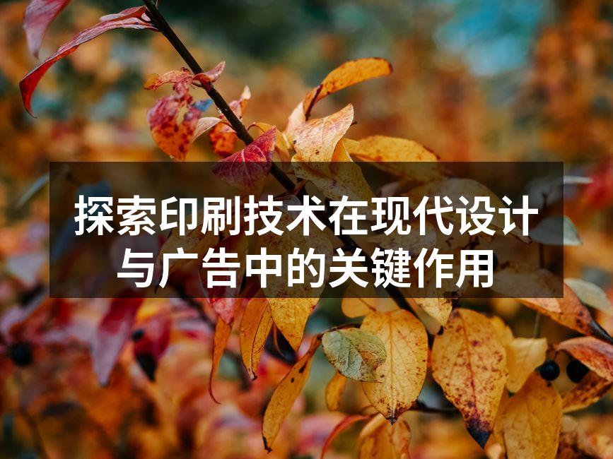 胶版印刷的精美作品