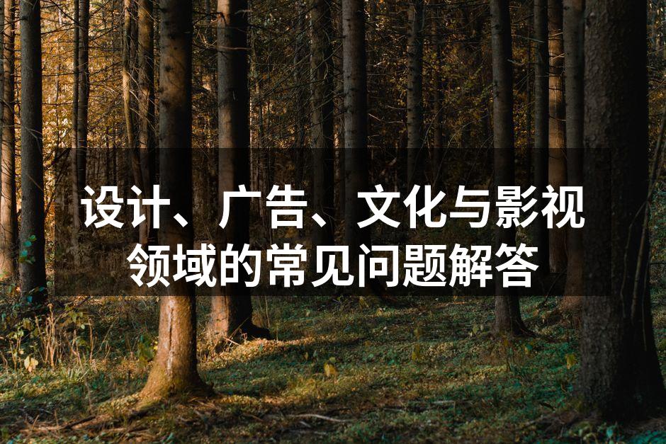 设计师与客户沟通设计理念